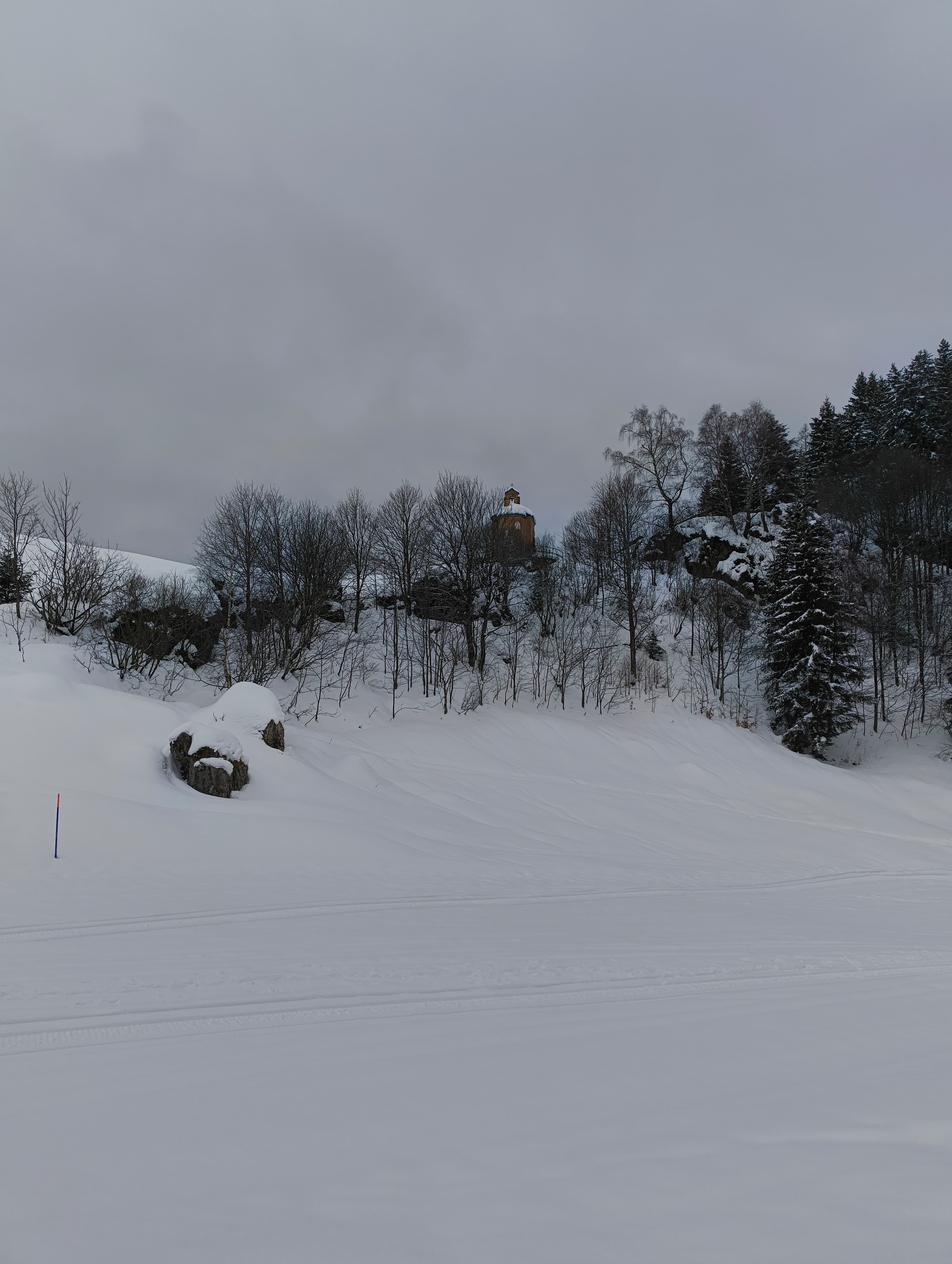 Foto n° 4 del trekking Monte Sodadura